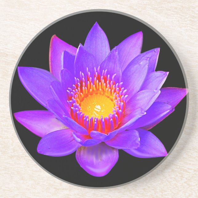 Posavasos Violet Lotus Flower on Black (Frente)