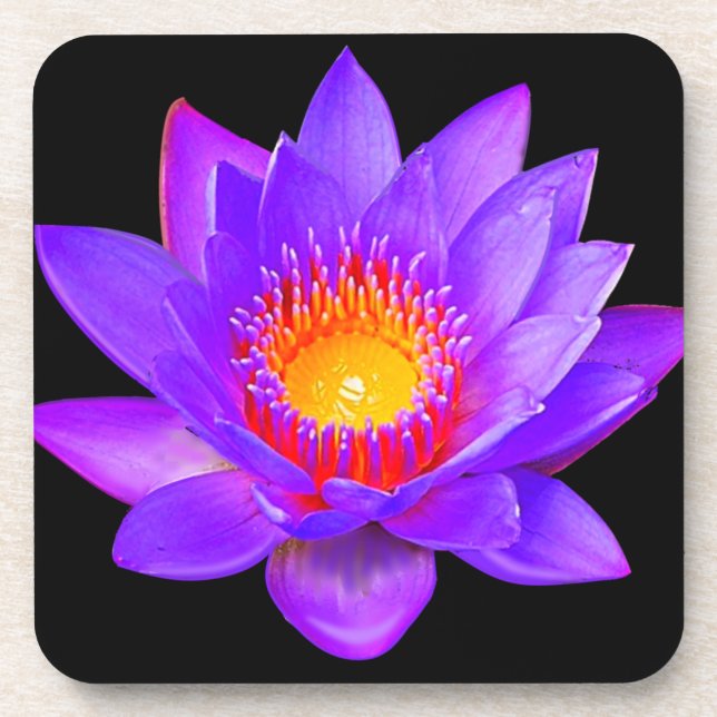 Posavasos Violet Lotus Flower on Black (Frente)