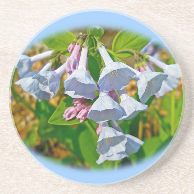 Posavasos Virginia Bluebells Wildflower (Frente)