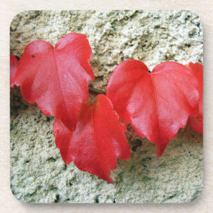 Posavasos Virginia Creeper deja escavadoras de plástico dura