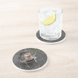 Posavasos Vista aérea del pájaro carpintero del parpadeo del