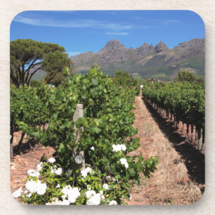 Posavasos Vista De Viñedos. Stellenbosch