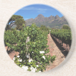 Posavasos Vista de viñedos. Stellenbosch