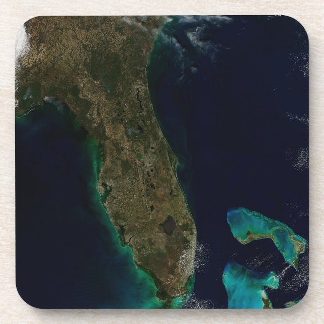 Posavasos Vista Satelital De Florida. (Frente)