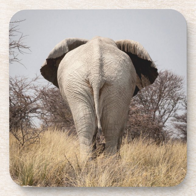 Posavasos Vista trasera de elefante (Frente)