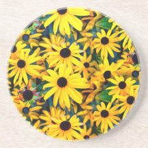 Vivid Black Eyed Susan Rudbeckia Melange