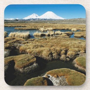 Posavasos Volcanes Payachalas