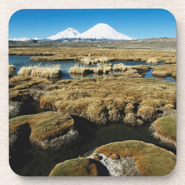 Posavasos Volcanes Payachalas (Frente)