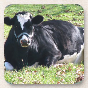 Posavasos Volver a las marcas de la cosecha verde de vacas l