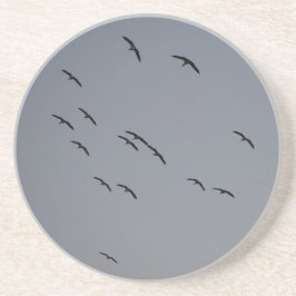 Posavasos Vuelo nocturno