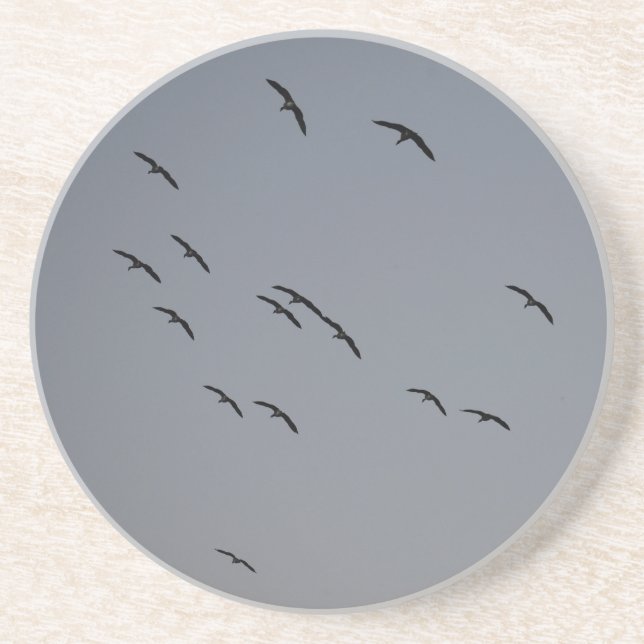 Posavasos Vuelo nocturno (Frente)