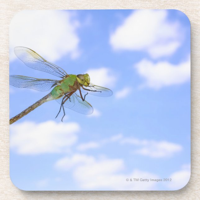 Posavasos Vuelo verde del darner (junius de Anax) contra (Frente)