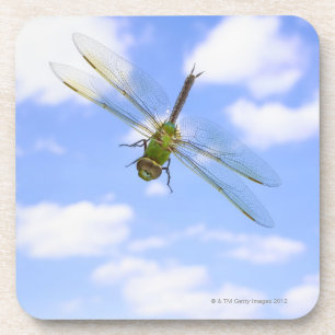 Posavasos Vuelo verde del darner (junius de Anax) contra las