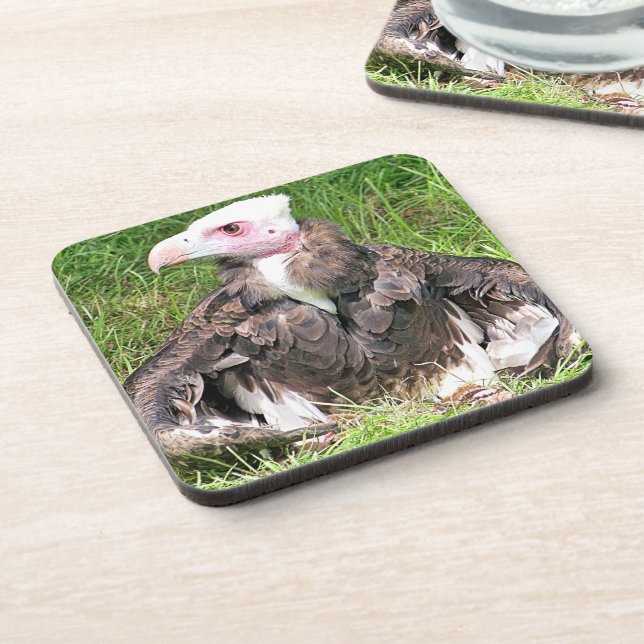 POSAVASOS VULTURA (Lado Izquierdo)