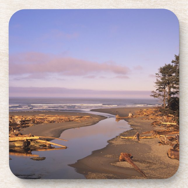 Posavasos WA, Olympic NP, Kalaloch Beach y Kalaloch (Frente)