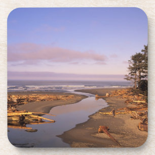 Posavasos WA, Parque Nacional Olympic, playa Kalaloch y Kala