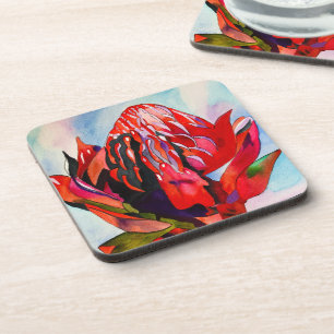 Posavasos Waratah Flor acuática australiana