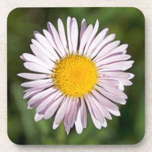 Posavasos Washington, Cordillera de Cascada, Monte Baker