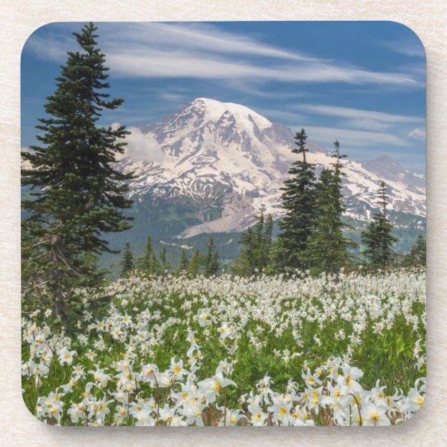 Posavasos Washington, Parque Nacional Mount Rainier 1 (Frente)