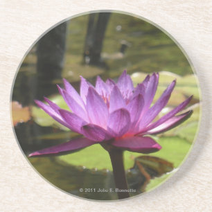 Posavasos Water Lily Coaster