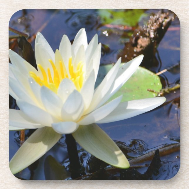 Posavasos Waterlily Coaster (Frente)