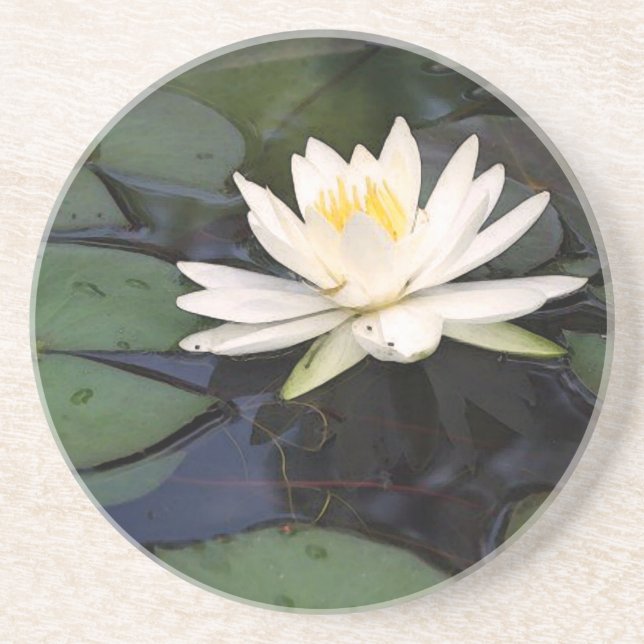 Posavasos waterlily práctico de costa redondo de la piedra (Frente)