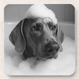 Posavasos Weimaraner en el baño con burbujas en la cabeza