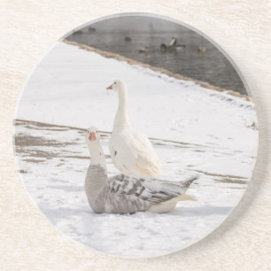 Posavasos Whats Up Goose