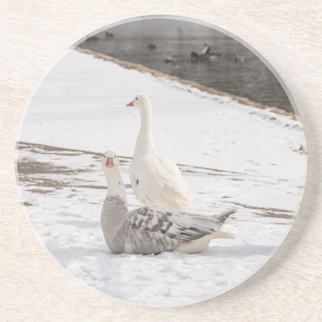 Posavasos Whats Up Goose (Frente)
