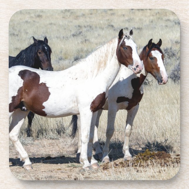 POSAVASOS WILD HORSES (Frente)