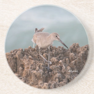 Posavasos Willet Beach Shorebird con fondo oceánico Verde az