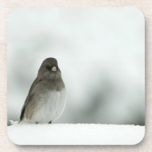 Posavasos Winter Bird