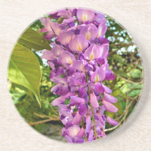 Posavasos Wisteria Bloom