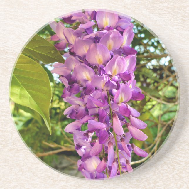 Posavasos Wisteria Bloom (Frente)