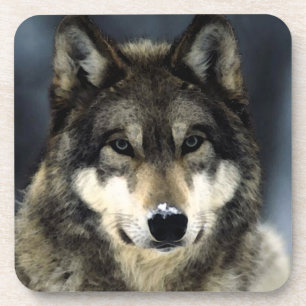 Posavasos Wolf