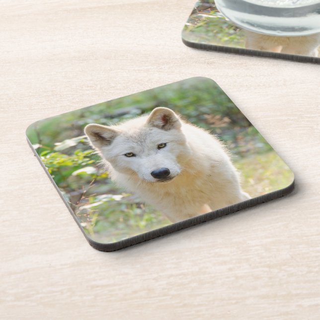 Posavasos Wolf Animal Art, Canadian Wildlife (Lado Izquierdo)