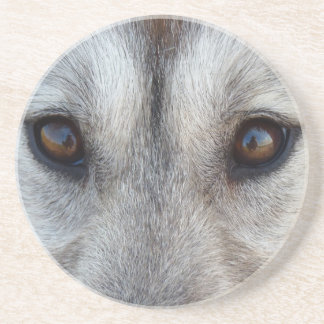 Posavasos Wolf Eyes Coaster Wolf Dog Art Coaster & GIfts