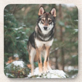 Posavasos Wolfdog Beyond Coaster