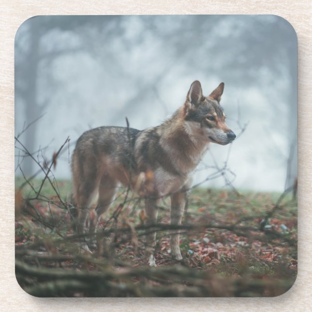 Posavasos Wolfdog Beyond Coaster (Frente)