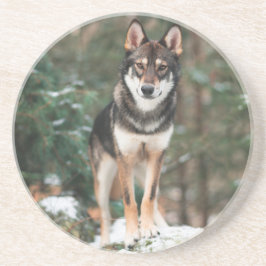 Posavasos Wolfdog Coaster