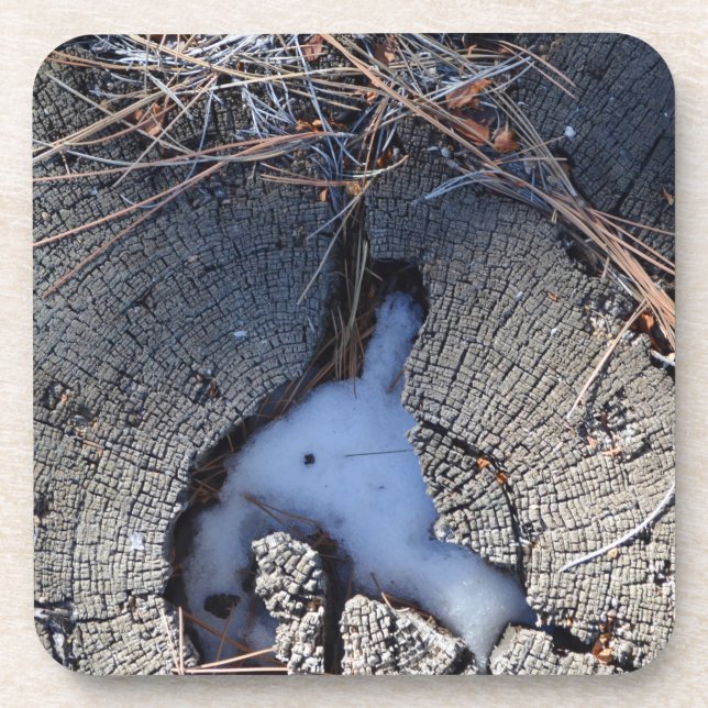 Posavasos Wood Art 2 Coasters (Frente)