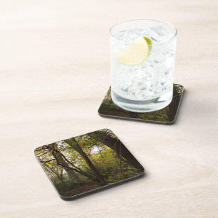 Posavasos Woodland Coasters