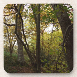 Posavasos Woodland Coasters