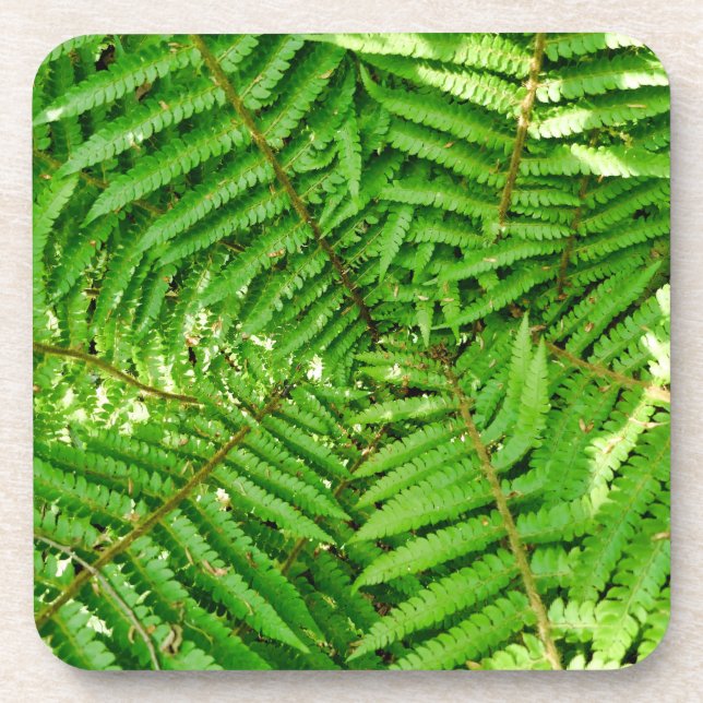 Posavasos Woodland Ferns (Frente)