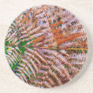 Posavasos Woodland Ferns