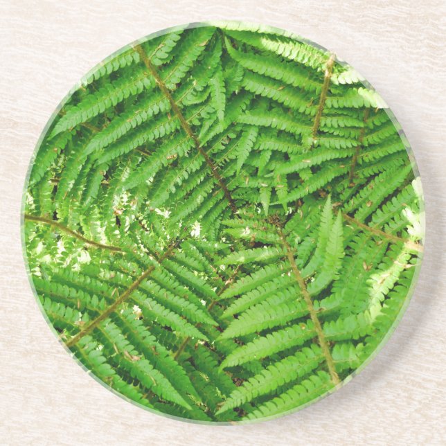 Posavasos Woodland Ferns (Frente)