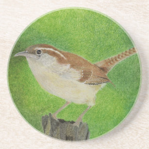 Posavasos Wren