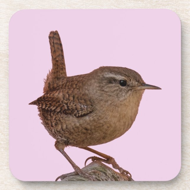 Posavasos Wren (Frente)