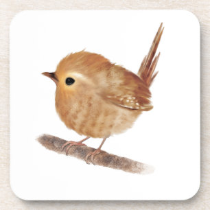 Posavasos Wren Bird