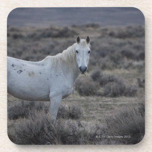 Posavasos Wyoming, los Estados Unidos de América